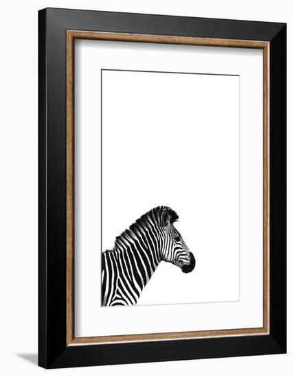 Zebra 2-Incado-Framed Photographic Print