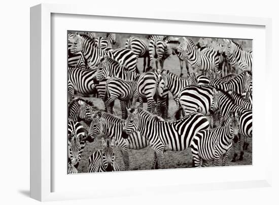 Zebra Abstraction-Jorge Llovet-Framed Art Print