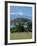 Zebra, Amboseli National Park, With Mount Kilimanjaro in the Background, Kenya, East Africa, Africa-Charles Bowman-Framed Photographic Print