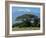 Zebra, Amboseli National Park, With Mount Kilimanjaro in the Background, Kenya, East Africa, Africa-Charles Bowman-Framed Photographic Print