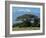 Zebra, Amboseli National Park, With Mount Kilimanjaro in the Background, Kenya, East Africa, Africa-Charles Bowman-Framed Photographic Print