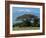 Zebra, Amboseli National Park, With Mount Kilimanjaro in the Background, Kenya, East Africa, Africa-Charles Bowman-Framed Photographic Print