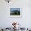 Zebra, Amboseli National Park, With Mount Kilimanjaro in the Background, Kenya, East Africa, Africa-Charles Bowman-Framed Photographic Print displayed on a wall