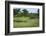 Zebra and Impala at Waterhole, South Luangwa National Park, Zambia, Africa-Janette Hill-Framed Photographic Print