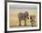 Zebra and Juvenile Zebra on the Maasai Mara, Kenya-Joe Restuccia III-Framed Photographic Print