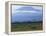 Zebra and Wildebeest under Mt. Kilimanjaro, Amboseli National Park, Kenya-Paul Souders-Framed Premier Image Canvas