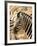 Zebra at Namutoni Resort, Namibia-Joe Restuccia III-Framed Photographic Print