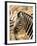 Zebra at Namutoni Resort, Namibia-Joe Restuccia III-Framed Photographic Print