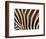 Zebra, Australia-David Wall-Framed Photographic Print