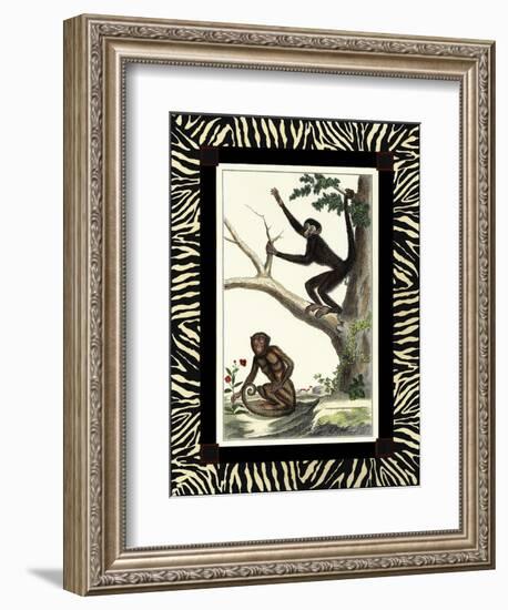 Zebra Border Monkey I-null-Framed Art Print