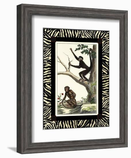 Zebra Border Monkey I-null-Framed Art Print