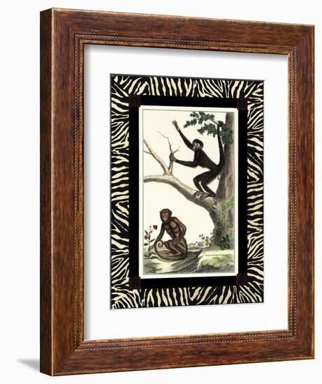 Zebra Border Monkey I-null-Framed Art Print