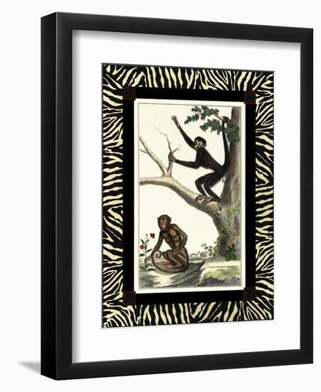 Zebra Border Monkey I-null-Framed Art Print