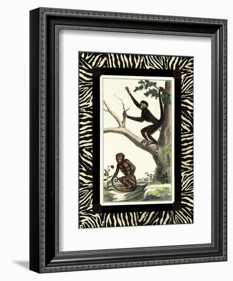 Zebra Border Monkey I-null-Framed Art Print