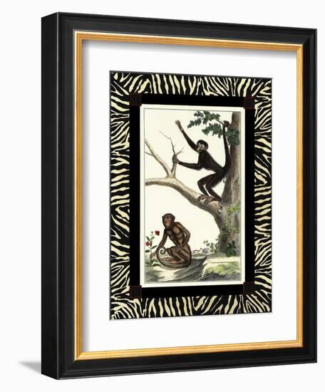 Zebra Border Monkey I-null-Framed Art Print