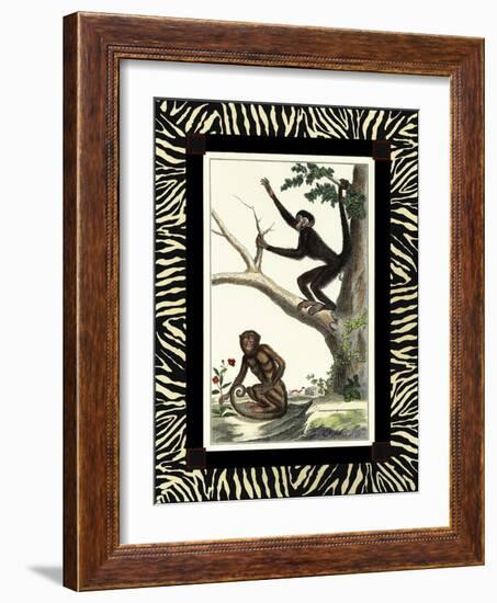 Zebra Border Monkey I-null-Framed Art Print