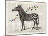 Zebra & Butterflies-Christopher James-Mounted Art Print