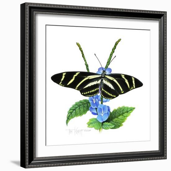 Zebra Butterfly-Tim Knepp-Framed Giclee Print