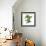 Zebra Caterpillar-Tim Knepp-Framed Giclee Print displayed on a wall