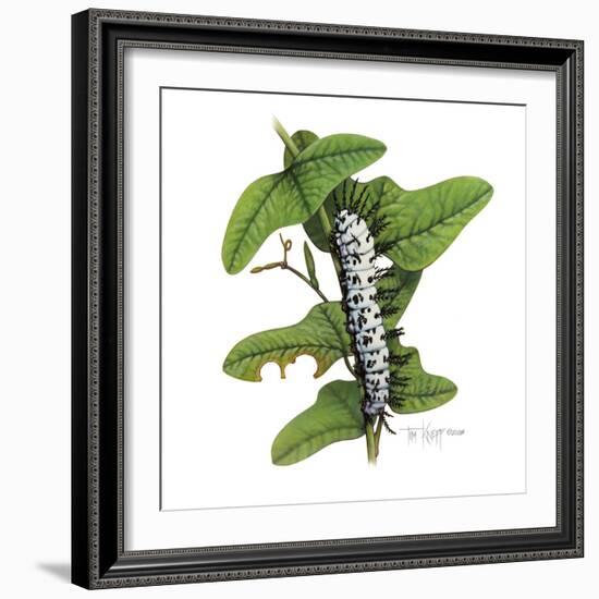 Zebra Caterpillar-Tim Knepp-Framed Giclee Print