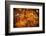 Zebra Crossing, Kolkata, West Bengal, India, Asia-Bhaskar Krishnamurthy-Framed Photographic Print