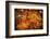 Zebra Crossing, Kolkata, West Bengal, India, Asia-Bhaskar Krishnamurthy-Framed Photographic Print