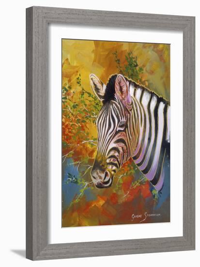 Zebra Days-Graeme Stevenson-Framed Giclee Print