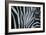 Zebra Eye-Cherie Roe Dirksen-Framed Giclee Print