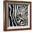Zebra Face-Cherie Roe Dirksen-Framed Giclee Print