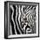 Zebra Face-Cherie Roe Dirksen-Framed Giclee Print