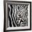 Zebra Face-Cherie Roe Dirksen-Framed Giclee Print