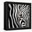 Zebra Face-Cherie Roe Dirksen-Framed Premier Image Canvas