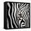 Zebra Face-Cherie Roe Dirksen-Framed Premier Image Canvas