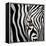 Zebra Face-Cherie Roe Dirksen-Framed Premier Image Canvas