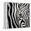 Zebra Face-Cherie Roe Dirksen-Framed Premier Image Canvas