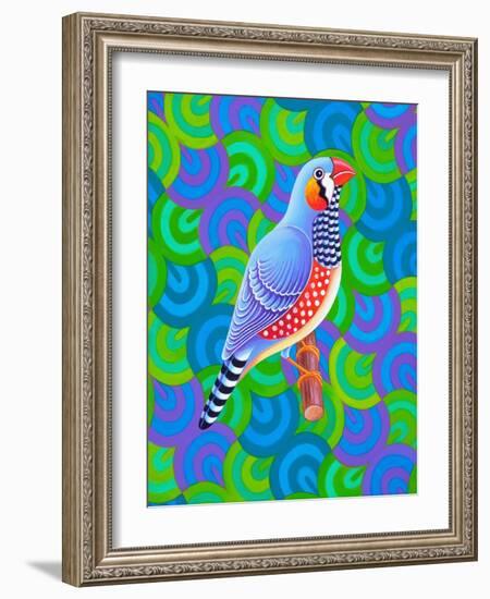 Zebra Finch, 2023 (Oil on Canvas)-Jane Tattersfield-Framed Giclee Print