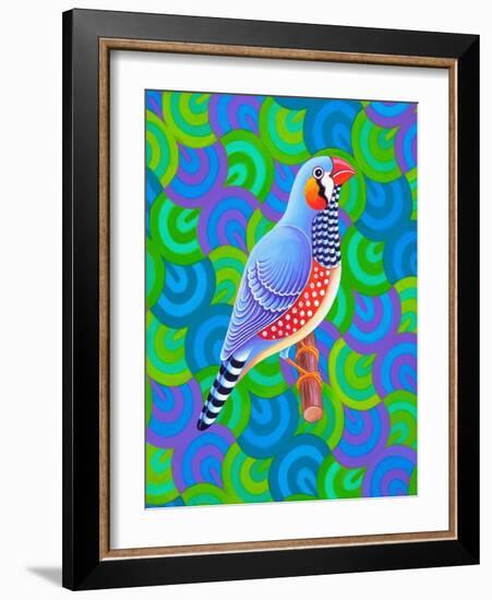 Zebra Finch, 2023 (Oil on Canvas)-Jane Tattersfield-Framed Giclee Print