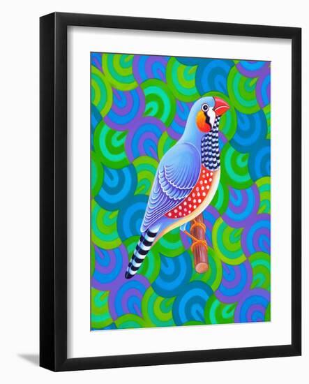 Zebra Finch, 2023 (Oil on Canvas)-Jane Tattersfield-Framed Giclee Print