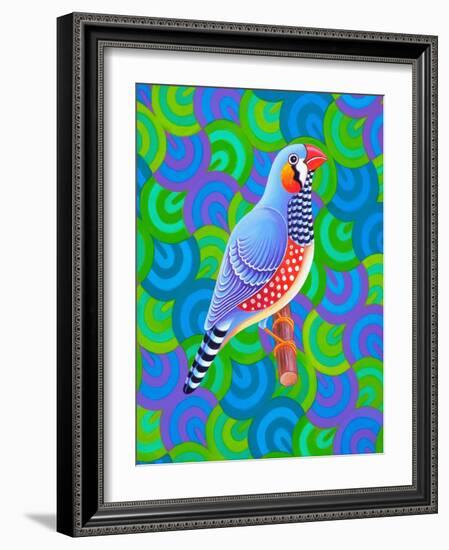 Zebra Finch, 2023 (Oil on Canvas)-Jane Tattersfield-Framed Giclee Print