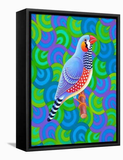 Zebra Finch, 2023 (Oil on Canvas)-Jane Tattersfield-Framed Premier Image Canvas