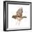 Zebra Finch Flying, Taeniopygia Guttata, against White Background-Life on White-Framed Photographic Print