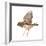 Zebra Finch Flying, Taeniopygia Guttata, against White Background-Life on White-Framed Photographic Print