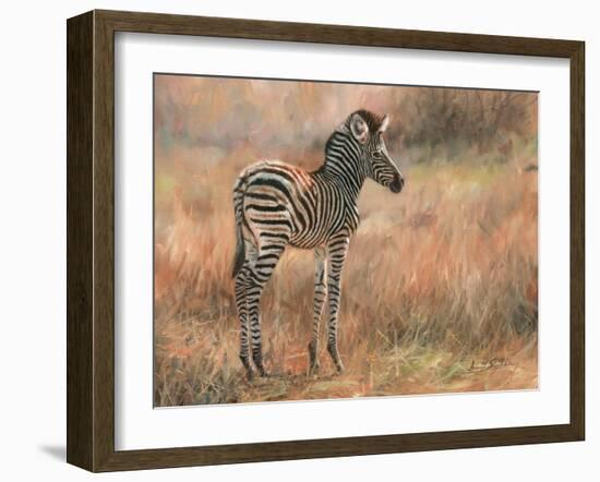 Zebra Foal-David Stribbling-Framed Art Print