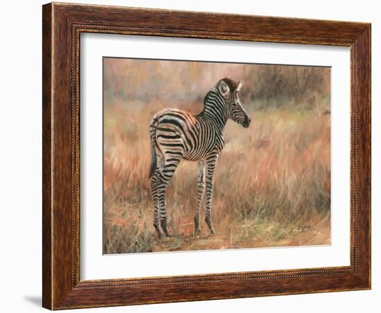 Zebra Foal-David Stribbling-Framed Art Print