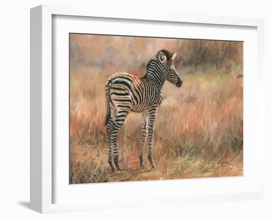 Zebra Foal-David Stribbling-Framed Art Print