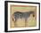 Zebra, from the "Minto Album," Mughal, 1621-Ustad Mansur-Framed Giclee Print