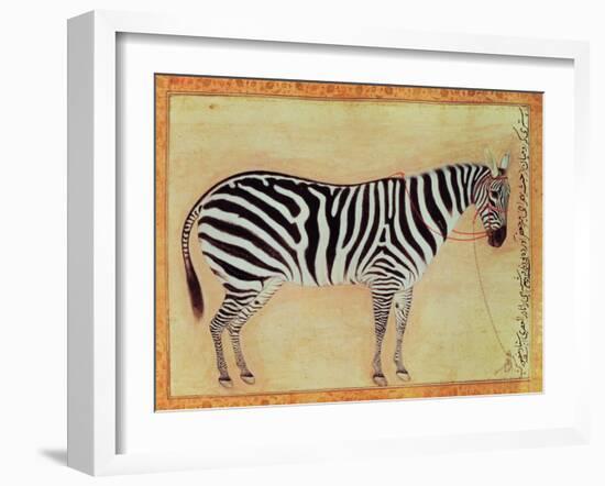 Zebra, from the "Minto Album," Mughal, 1621-Ustad Mansur-Framed Giclee Print