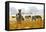 Zebra Herd In The Wild-Donvanstaden-Framed Premier Image Canvas