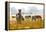 Zebra Herd In The Wild-Donvanstaden-Framed Premier Image Canvas