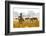 Zebra Herd In The Wild-Donvanstaden-Framed Photographic Print